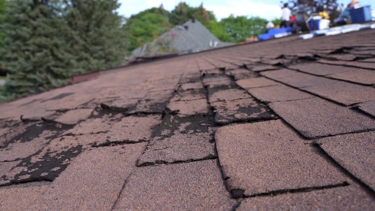 Best Gutter Installation and Repair  in Spring Valley, WI