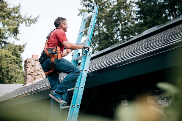 Best Asphalt Shingle Roofing  in Spring Valley, WI
