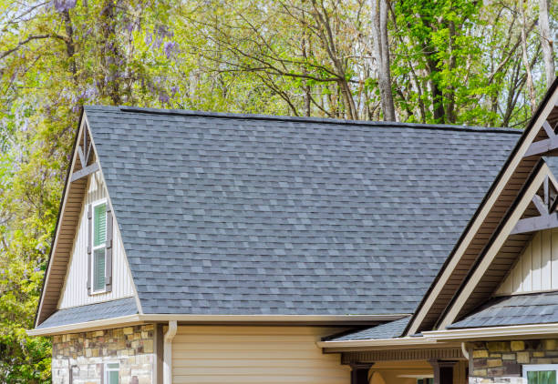 Best Roof Coating and Sealing  in Spring Valley, WI