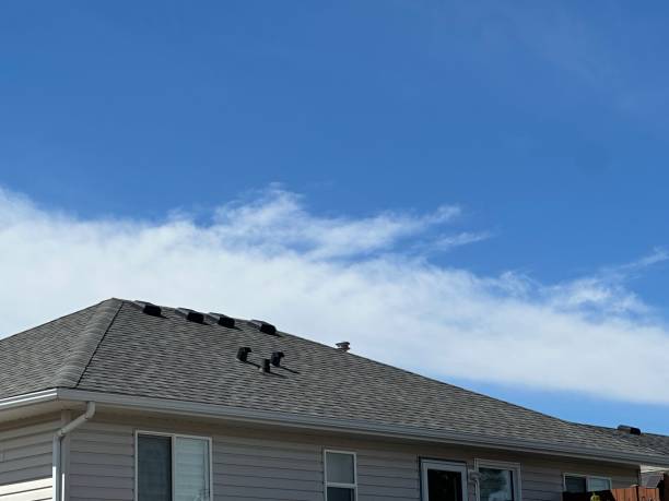 Best Wood Shake Roofing  in Spring Valley, WI